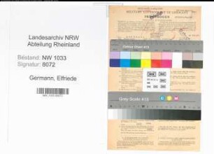 Entnazifizierung Elfriede Germann , geb. 14.12.1919 (Dolmetscherin)