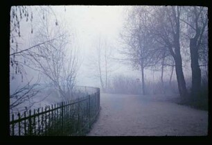 Schöneberg. Stadtpark 11.12.53.