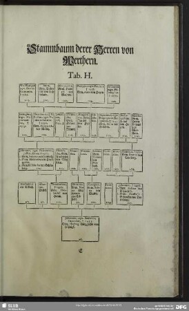 Stammbaum derer Herren von Werthern Tab. H.