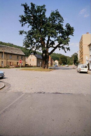 Straßenkreuzung mit großem Baum in der Mitte, Häuser, Neubaublock