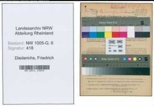 Entnazifizierung Friedrich Diederichs , geb. 04.09.1888 (Angestellter)