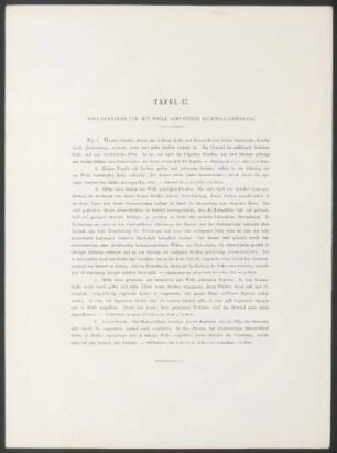 Tafel 37. - Woll-Gewänder und mit Wolle gemusterte Baumwoll-Gewänder.