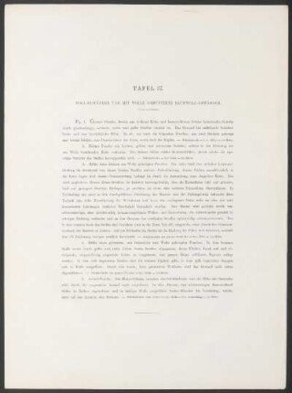 Tafel 37. - Woll-Gewänder und mit Wolle gemusterte Baumwoll-Gewänder.