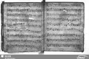 Anonymus: Amor meus pondus meum
