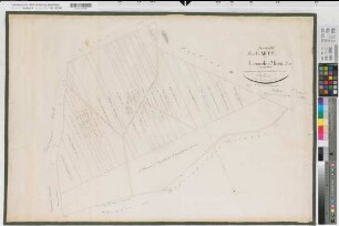 Recklinghausen? (Recklinghausen), Teilung der Lenkeler Mark, Bl.4 Reinkarte