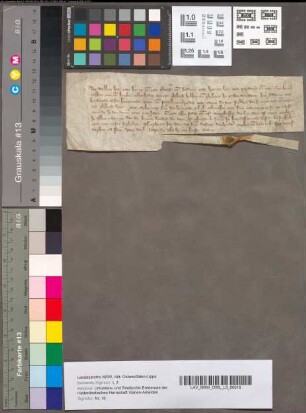 Belofte van Willem, Heer van Hoorne en Altena, en Diederik van Hoorne, Heer van Parweis en Kranenborg, om Heer Diederik van Brederode schadeloos te houden van een borgtocht, 2 September 1349. Perkament met een stuk van een uithangend zegel.