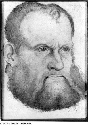 Comes, Francesco : Cranach, Lucas . Kopf des Francesco Comes. Öltempera auf Pappe; 17,2 x 12,5 cm. Um 1550. Bautzen: Stadtmuseum