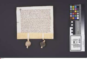 Bensheimer Hof: Locatio, sedecim jugerum agrorum pertinentium ad votum ecclesiae parochialis in Hoven in terminis villae Buensheim a Wolframio ali...
