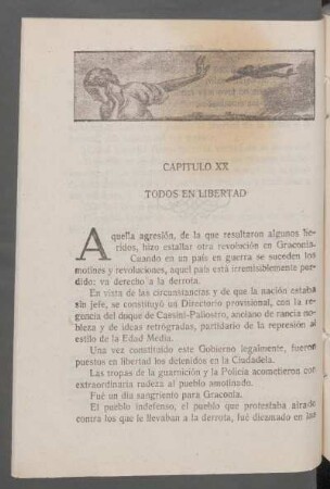 Capítulo XX - Todos en libertad