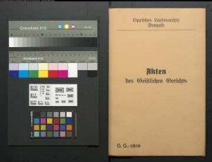Ilsabein Spiecker aus Brakelsiek gegen Franz Wilhelm Humbke (Humke), Schäfer zu Altendonop, wegen einer Eheklage
