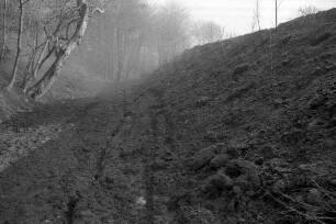 Sanierung der Batzenhofhohle zwischen Stupferich und Hohenwettersbach zwecks Wiederaufforstung