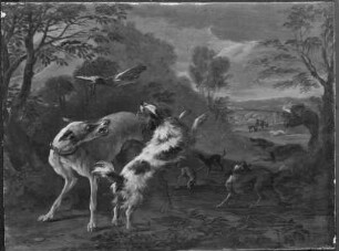 Entenjagd in hügeliger Waldlandschaft