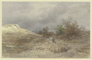 Hohlweg mit Schafherde bei Kelsterbach