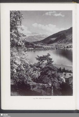 Der Alpsee bei Immenstadt