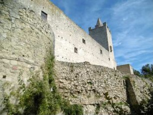Bad Kösen: Rudelsburg