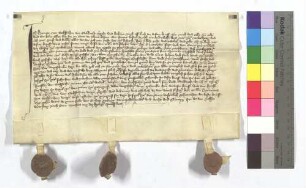 Fertigung des Hermann von Sachsenheim um seine Leibeigenen in Schützingen (Schüzingen) und Gündelbach.
