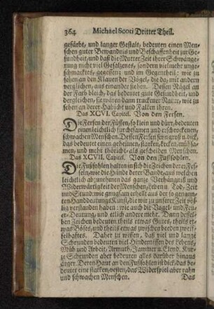 Das XCVI. Capitel. Von den Fersen.