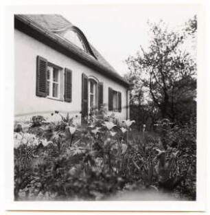 Siedlung Lendelsches Gelände, Potsdam-Bornstedt Wohnhaus Hammerbacher: Wohnhaus Gartenseite im Frühling