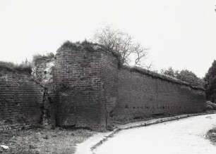 Wolgast, Stadtmauer : Wolgast. Stadtmauer. Ansicht mit Rest eines Wehrturms