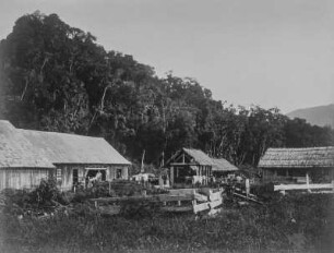 Bauernhof : Bauernhof in der Nähe von Blumenau - Santa Catarina
