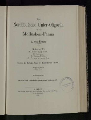 H. 6: 5. Pelecypoda. II. Siphonida. B. Sinupalliata. 6. Brachiopoda. Revisioin der Mollusken-Fauna des Samländischen Tertiärs
