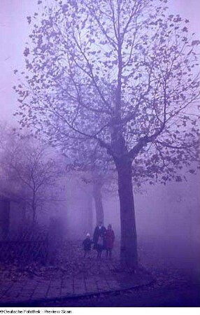 Straßenbild mit Passanten im Nebel