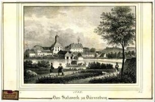Das Salzwerk zu Dürrenberg. 1835.