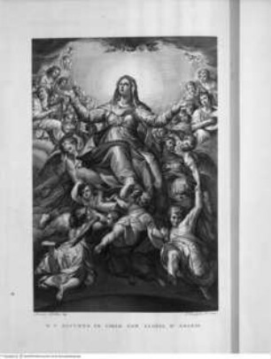 La Pinacoteca della Pontificia Accademia delle Belle Arti in Bologna pubblicata da Francesco Rosaspina Professore nell'Accademia sudetta, Bologna MDCCCXXX presso l'Autore, Tafel 45: Die Himmelfahrt Mariä