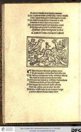 Gallus interrumpens verba corvi et hanc orationem habuit.