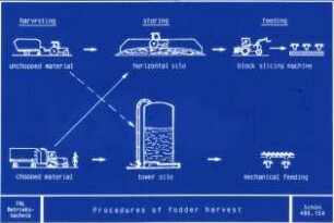 Procedures of fodder harvest