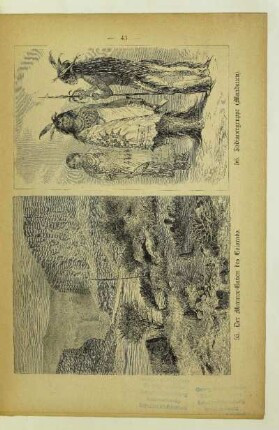55. Der Marmor-Cañon des Colorado