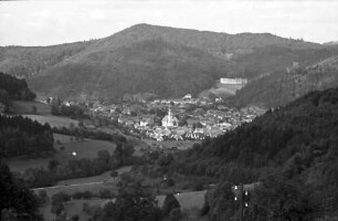 Waldkirch: Gesamtansicht