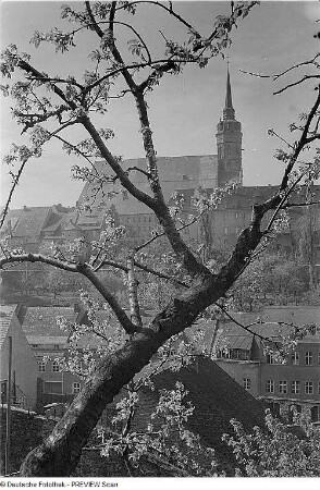 Bautzen. Stadtansicht mit Dom St. Petri