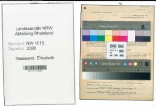 Entnazifizierung Elisabeth Nieswand , geb. 28.05.1898 (Lehrerin)
