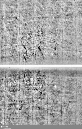 Wasserzeichen S.11_12 / 17_18 zusammengesetzt