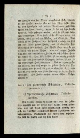 20. 1) Die geometrische Schildkröte, Testudo geometrica. 2) Die karolinische Schildkröte, Testudo carolina.