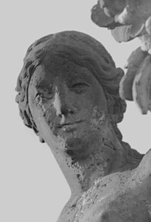 Röhrsdorf, Schloss, Flora vor der Orangerie, Detail