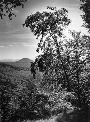 Landschaftsausschnitt mit Gebirgsvegetation, wahrscheinlich im Allgäu