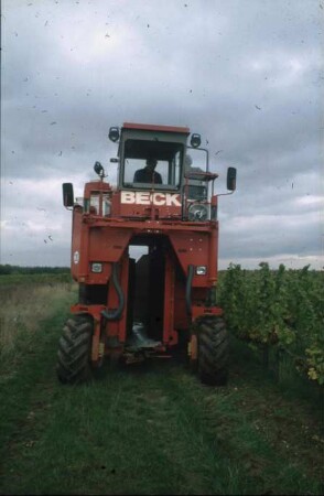 Fotografie: Weinbau, Erntetechnik, Erntemaschine