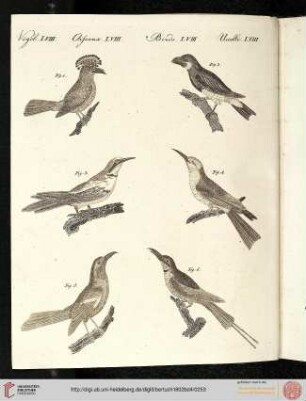 B.IV. No. 51 - B.III. No. 60