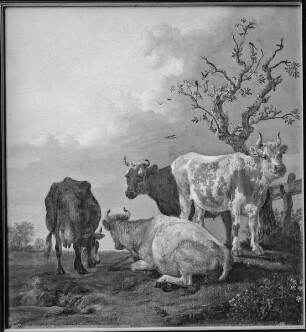 Auf der Weide