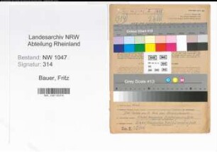 Entnazifizierung Fritz Bauer , geb. 01.07.1913 (Zollbeamter)