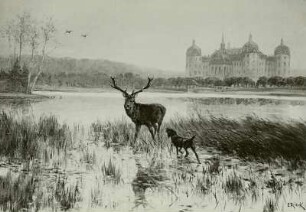 Jagdschloss Moritzburg : Jagdschloss Moritzburg (Seestück mit Hirsch und Hund vor Schloss Moritzburg). Ölgemälde von Emil Rieck, Moritzburg vor bzw. 1933
