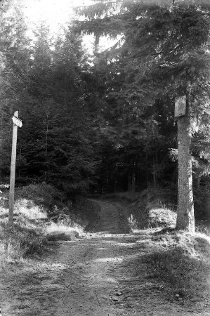 Ulansteig : Ein Verbindungsweg zwischen Steinbach und Reitzenhain; die Tafel am Baum stellt einen Ulanen dar, der lt. Sage 1813 im nahegelegenen Moor umgekommen sein soll