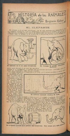 El elefante : Historia de los animales