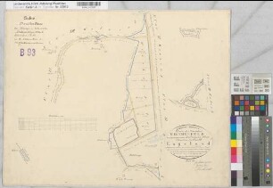 Marbeck (Borken), Gemeinheit Wirthe, Wirther Feld, Lage, Tushaus Heide, Bodarbsche Heide, Teilung der Butenwirther Mark, Bl.6 Brouillonkarte Flur VII Engeland