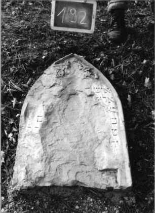 Grabstein 192 (Index: 100090519) Material: Sandstein Zustand: beschäd/abgeblätt/fast völliger Textverl Maße HxBxT: 80x50x12 cm Beschreibung: Stele, Spitzbogenabschluß, Schriftfeld eingetieft Symbolik: Blätter und Blumen im Abschluß: Grabstein 192