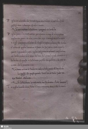 Blatt 102