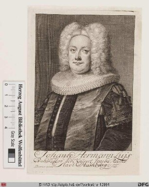 Bildnis Johann Hermann Luis