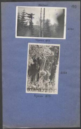 Vogesen 1917